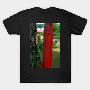 red ants T-Shirt